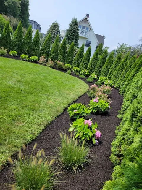 LISANDRO'S LANDSCAPING & CONSTRUCTION work photo