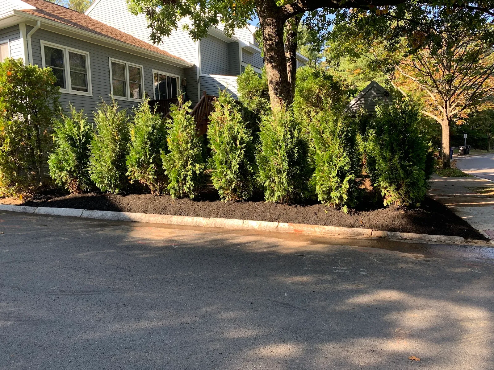 Best Views Landscaping