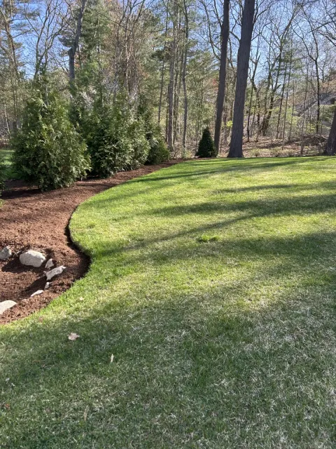 Clean curved lawn edging with mulch bed border separating grass and wooded landscape
