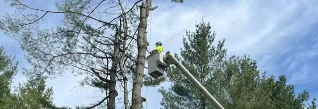 bucket