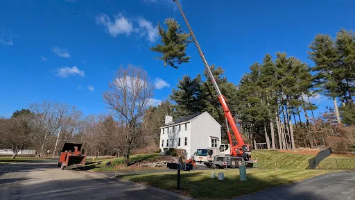 Ducharme Tree Service LLC work photo