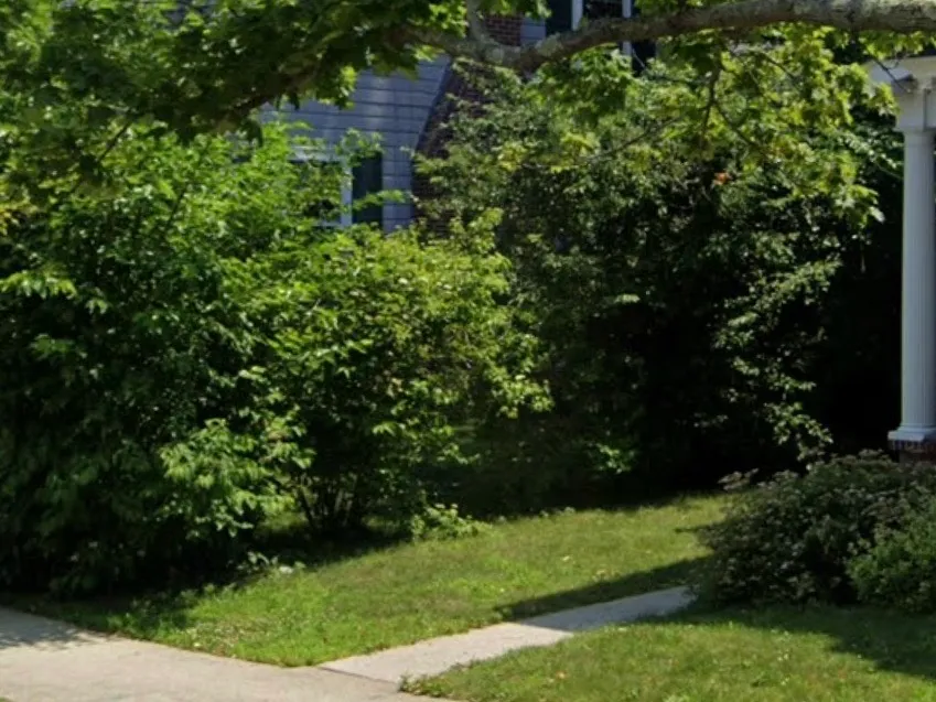 Before: front yard lawn