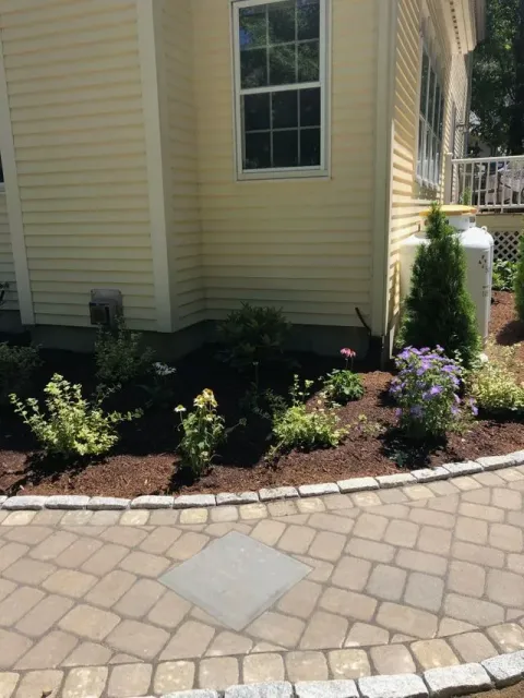 Yard Service Landscape Work
