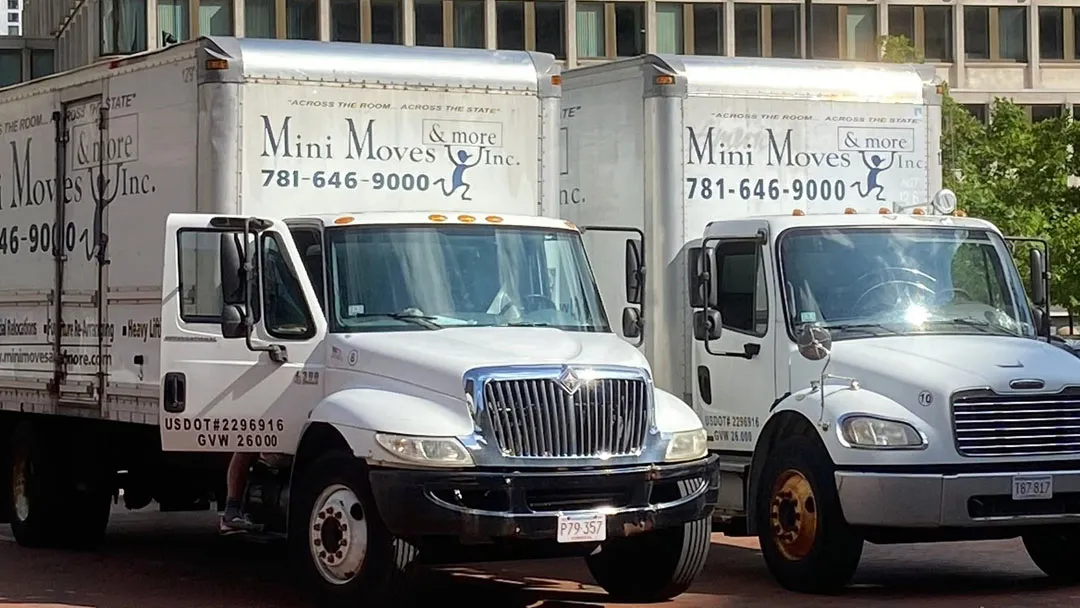 Mini Moves & More