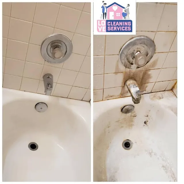 Love Cleaning Services