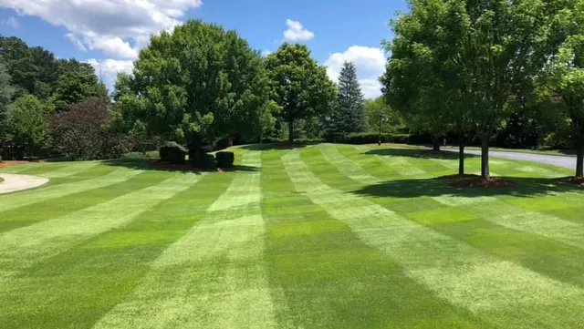 Monzon Landscaping work photo