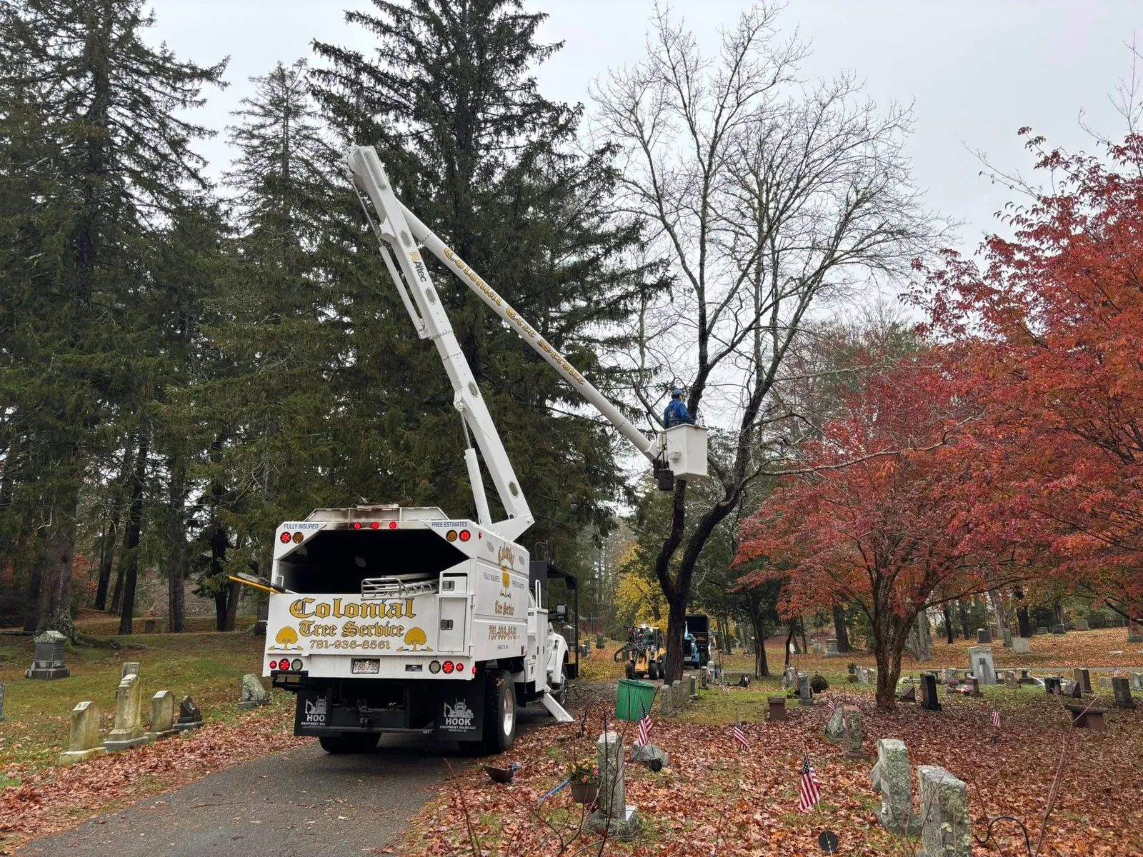work photo from treeservicekingston.net