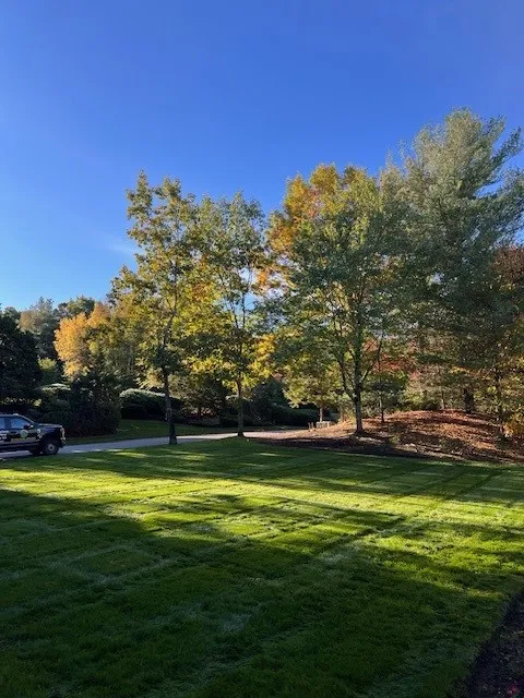 Solution Driven Landscaping, Inc.