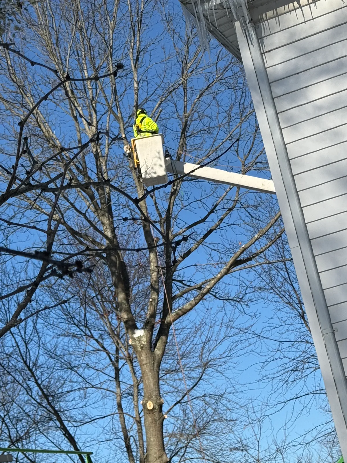 work photo from Google listing