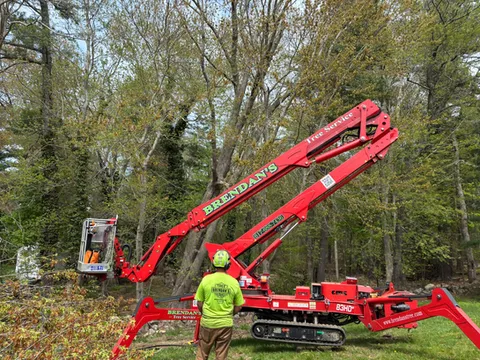 work photo from brendanslandscape.com