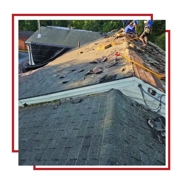 Roof Replacement