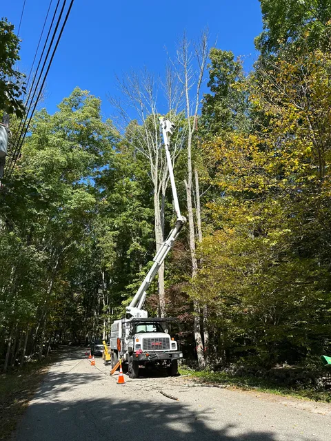 Skerry Timber Services LLC work photo