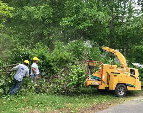 West Branch Tree and Tractor Service work photo