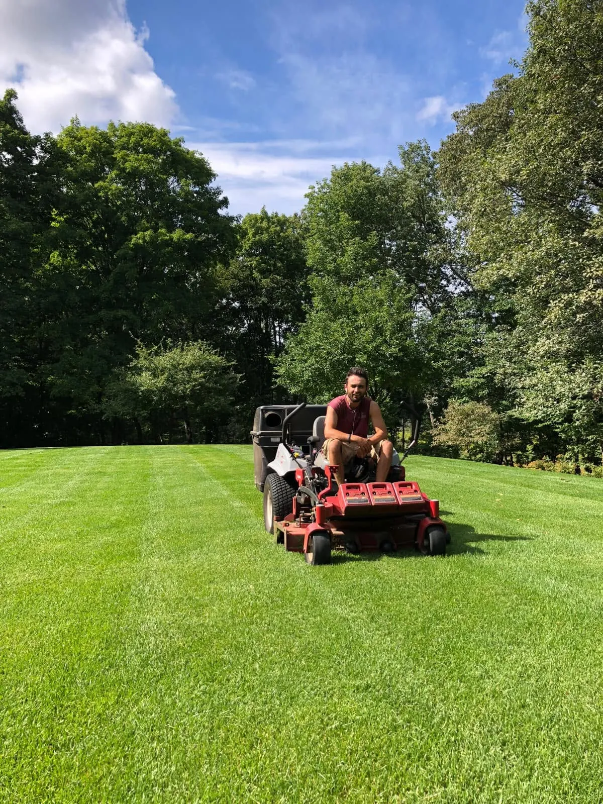 Landscaper mowing a green suburban lawn with a commercial mower