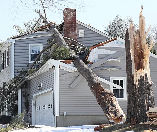 Home with storm damage from a fallen tree