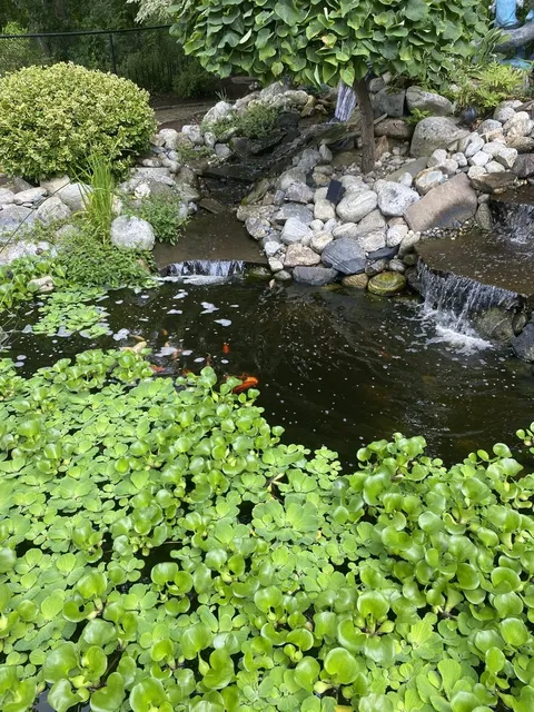 Custom water feature with natural stone landscaping in Central Massachusetts