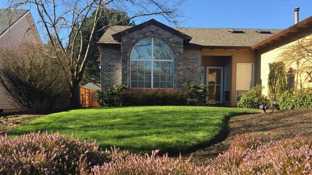 eco-friendly lawn care services