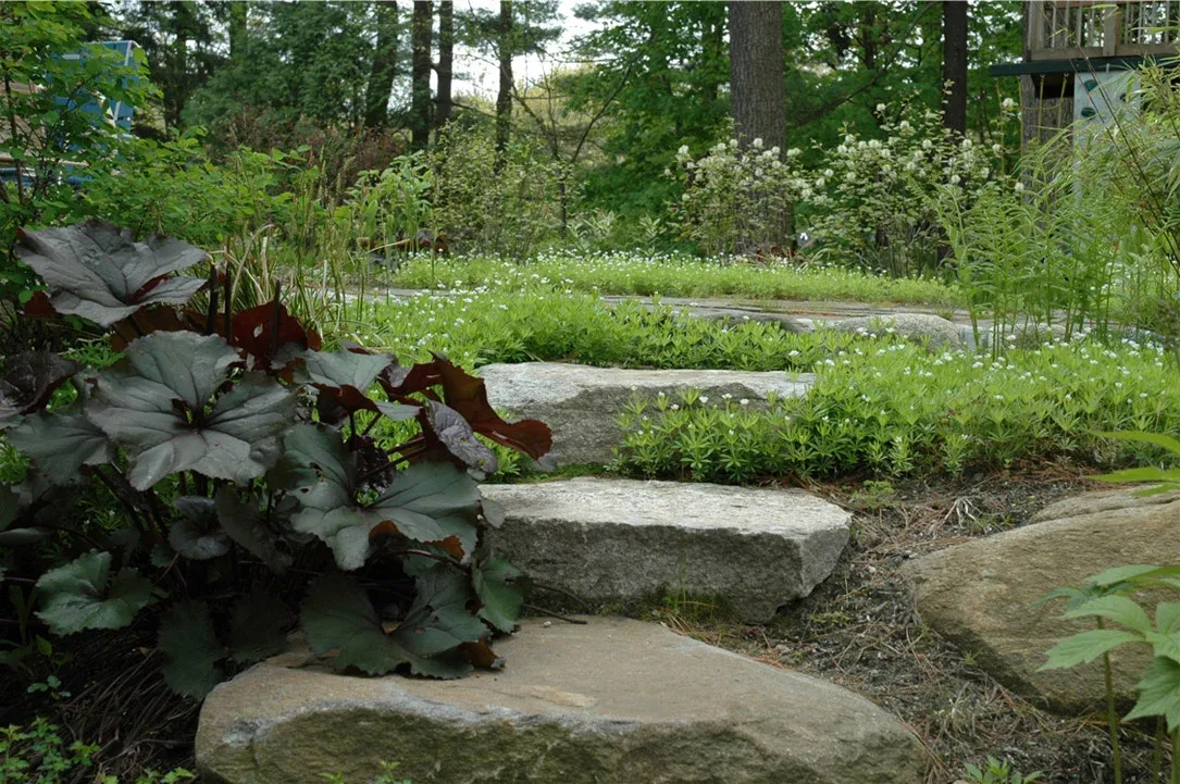 work photo from moodscapesdesign.com