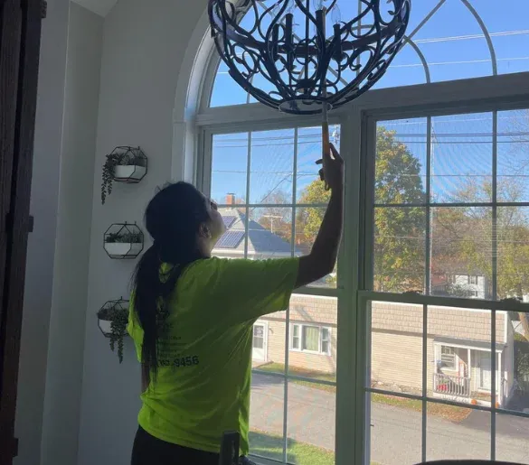 Green Life Cleaning work photo