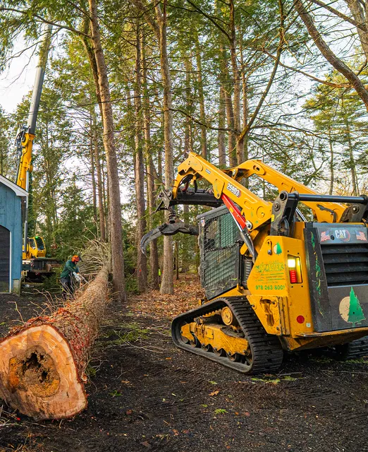 New England Tree Masters | Tree Service in Boxborough MA