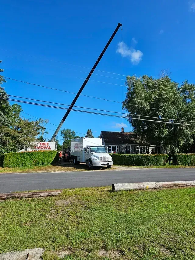 A white utility truck with a crane extended toward power lines. Bright blue sky, green grass and trees.