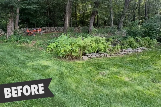 Client requested removal of over growth and weeds to expand backyard lawn space.