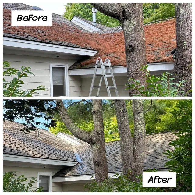 Roof cleaning before and after