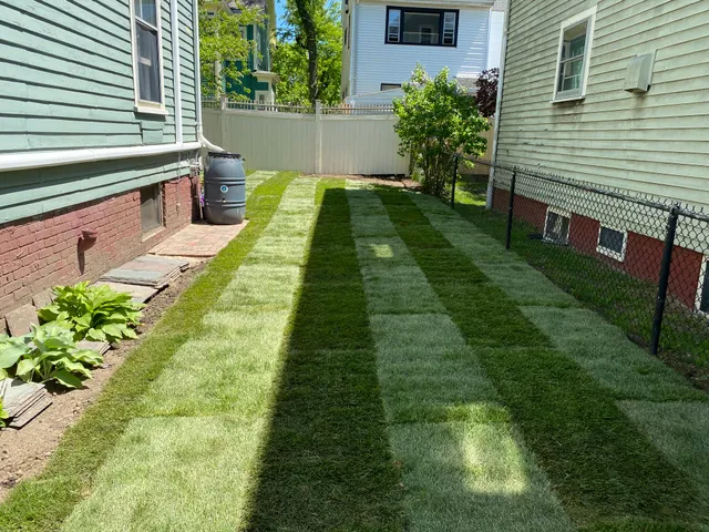 Novak Landscaping work photo