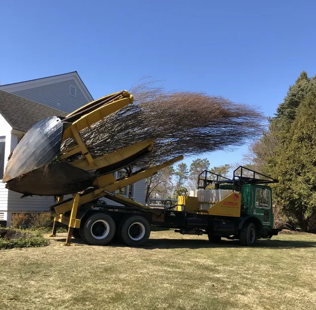 Acorn Tree & Landscaping inc. researched project photo