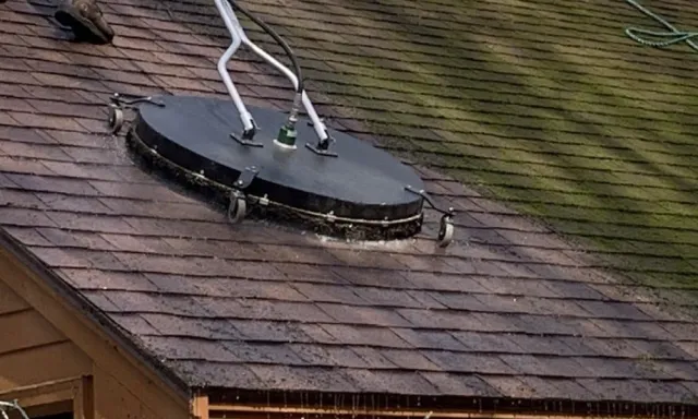 Roof Cleaning