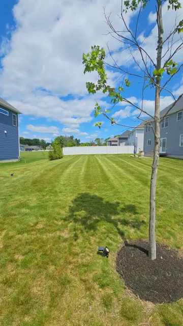 Nice Lawns work photo
