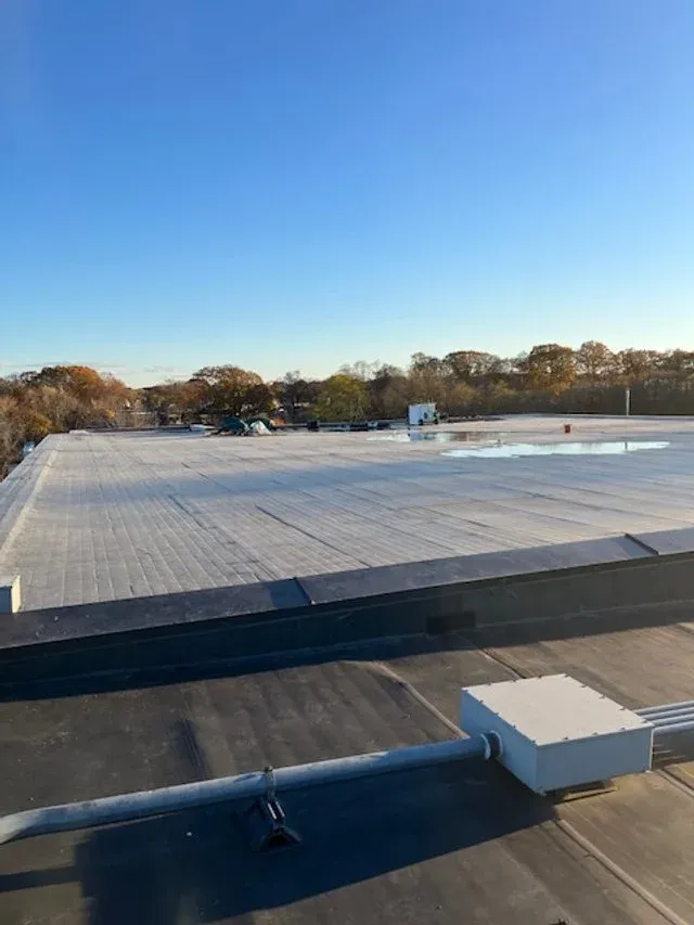 View of a flat rooftop with a blue sky and some trees in the background.