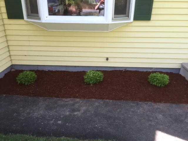 work photo from dalmatianlandscaping.com