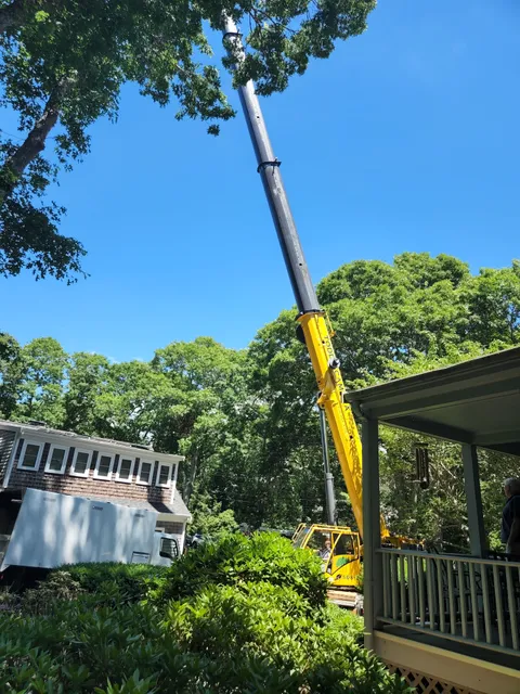 Brians tree service work photo