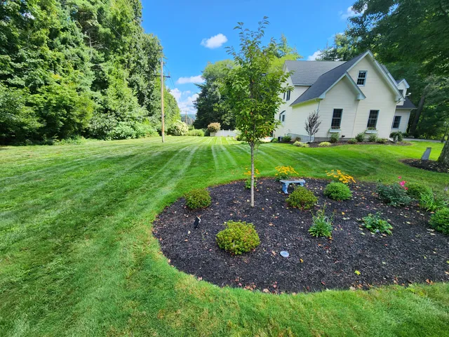 Master Lawn Care Solution work photo