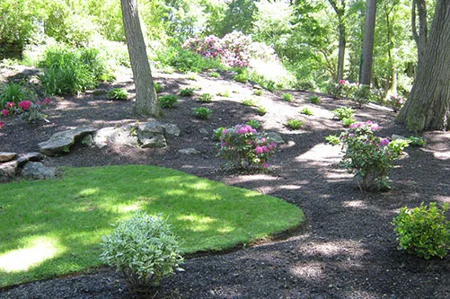 work photo from serviziolandscaping.com