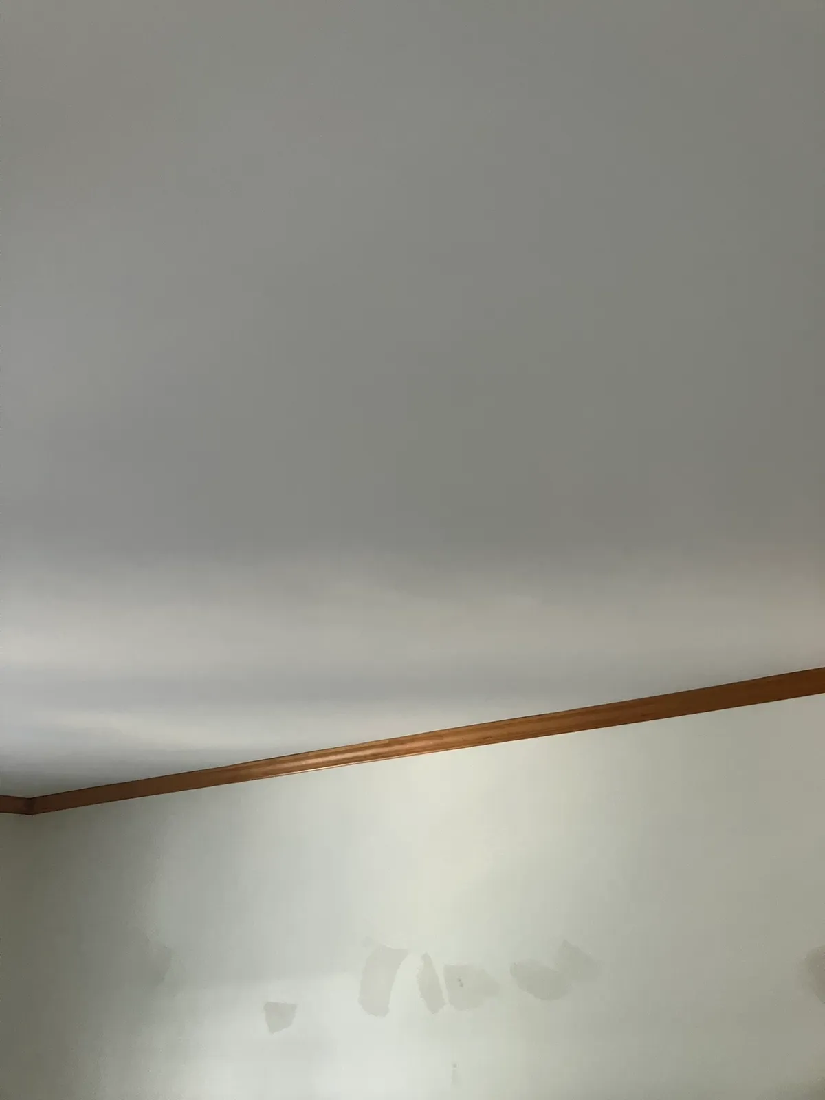 work photo from professionalpaintplus.com