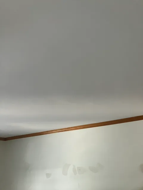work photo from professionalpaintplus.com