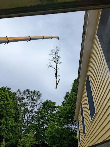 Review photo by Paul Ottaviano