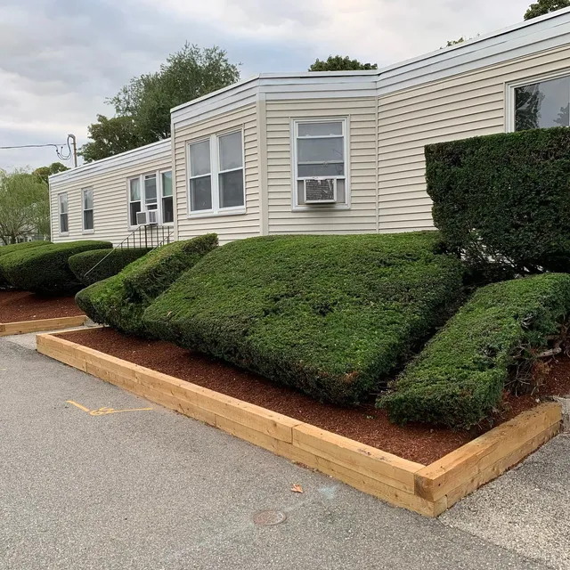 Clipped shrubs over a fresh mulch bed with timber edge