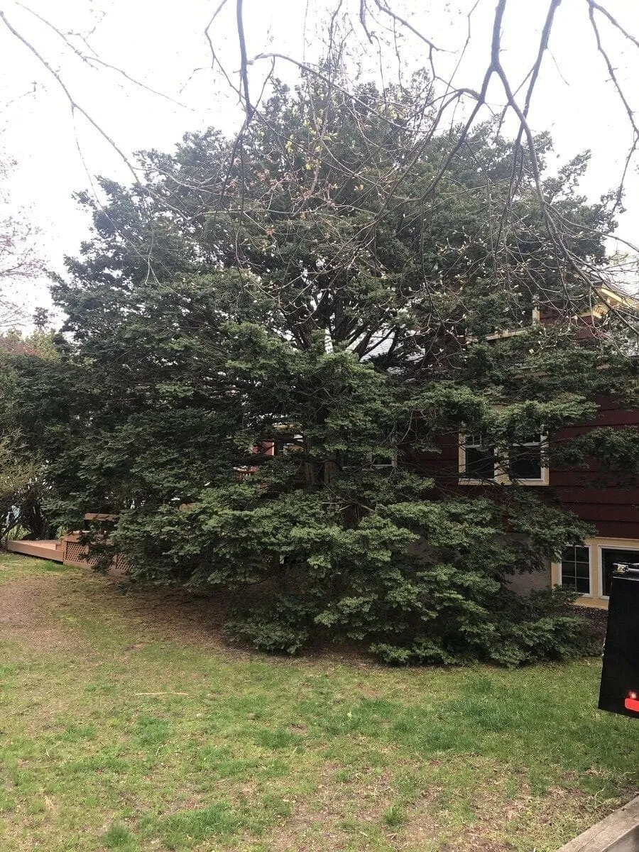work photo from lawncareplusma.com