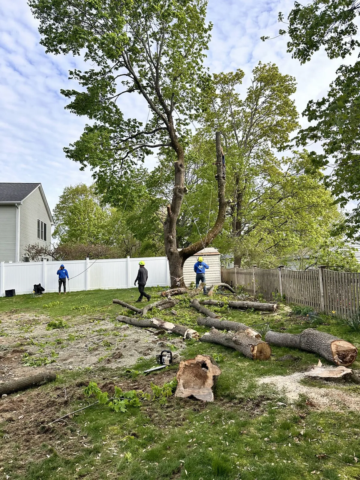 work photo from faithtreeservices.com
