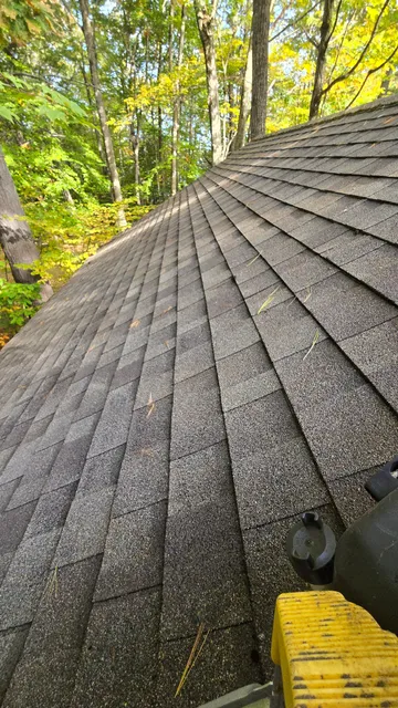 Roof blown clean of pine needles