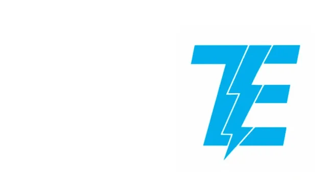 Tangney Electric Co logo