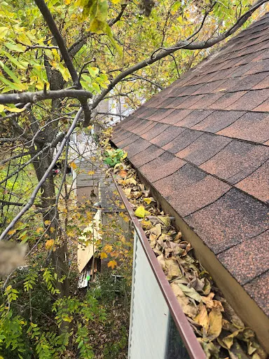 Review photo by Alyssa Chaikowski