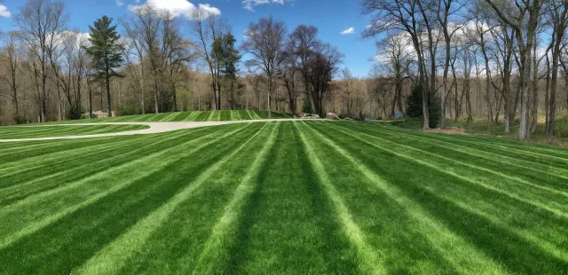 striped grass lawn cut by professional MA landscaper - slide 2
