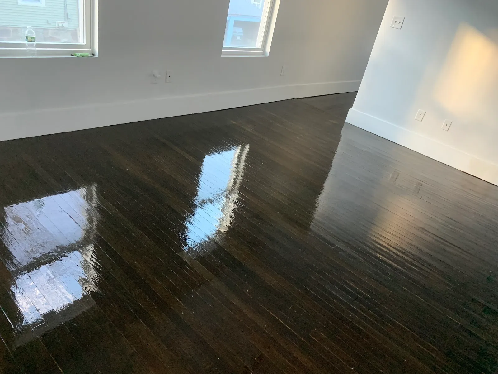 Bingo Hardwood Floor