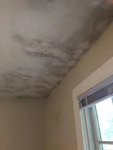 work photo from aceabatement.com