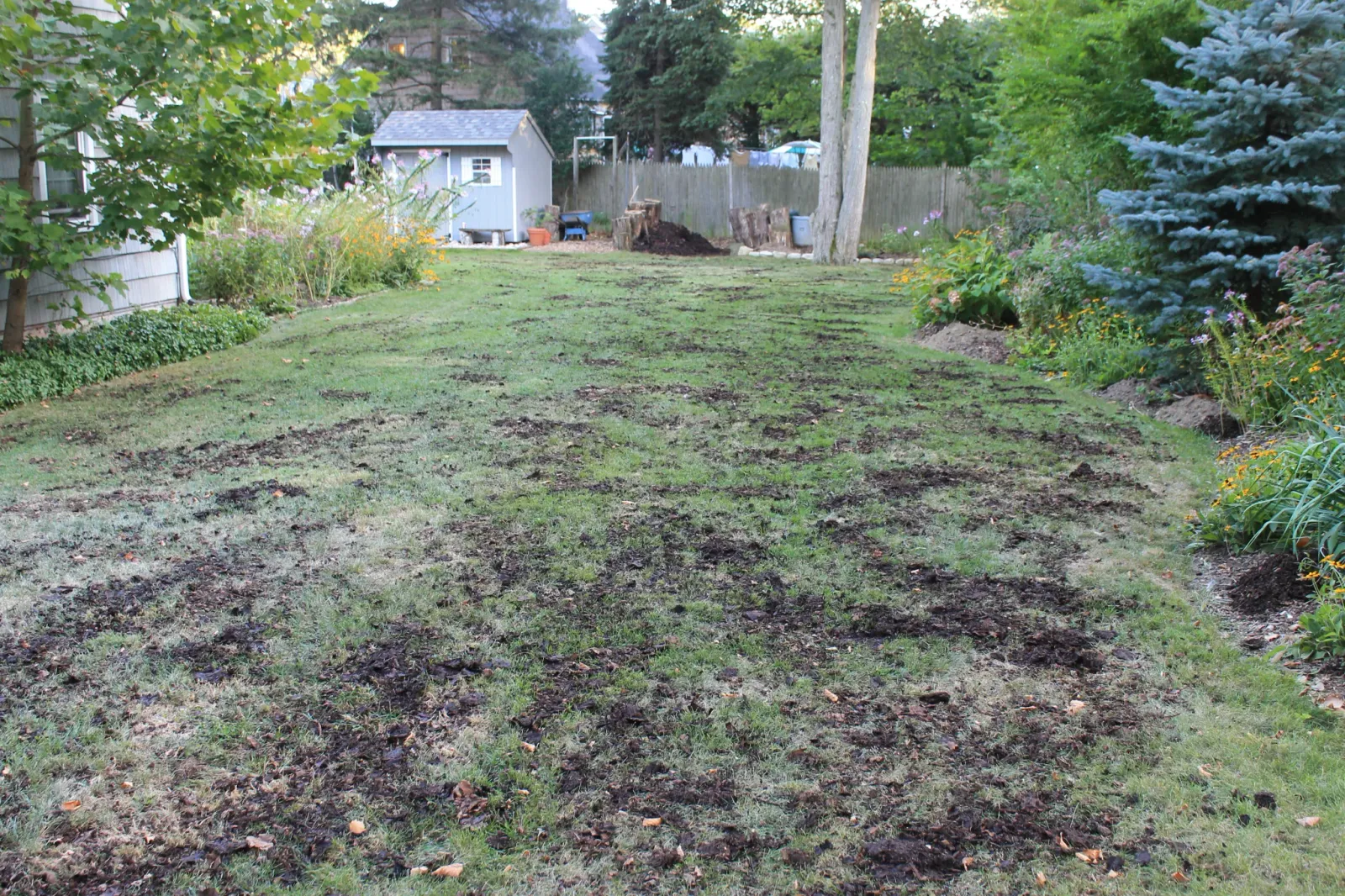 work photo from ecograsslandscaping.wordpress.com