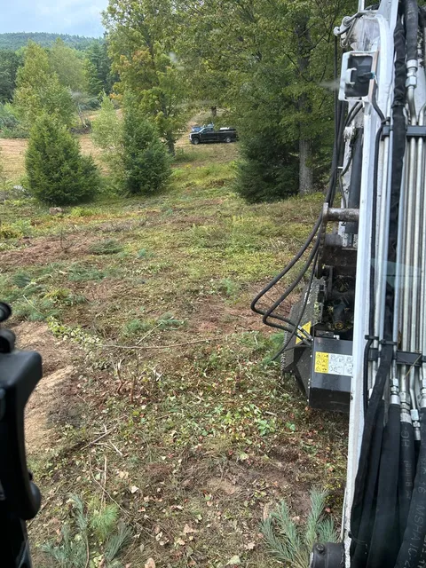 work photo from jtwlandandtree.com